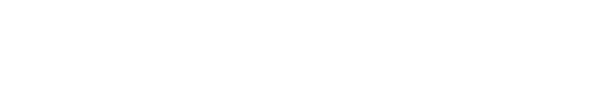 Care_Source_Solutions_Logo_WHITE (1)